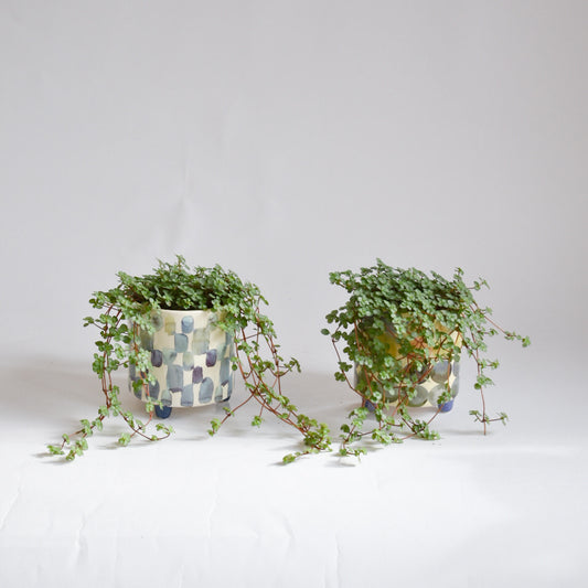 Aquamarine Pilea Footed Pot