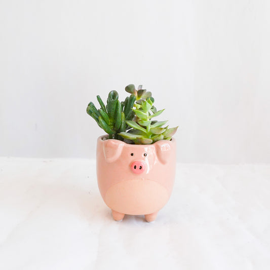 Peppa's Planter