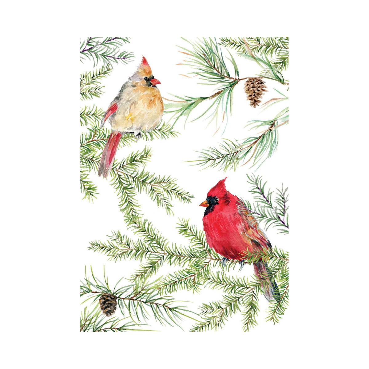 Boxed Holiday Cards