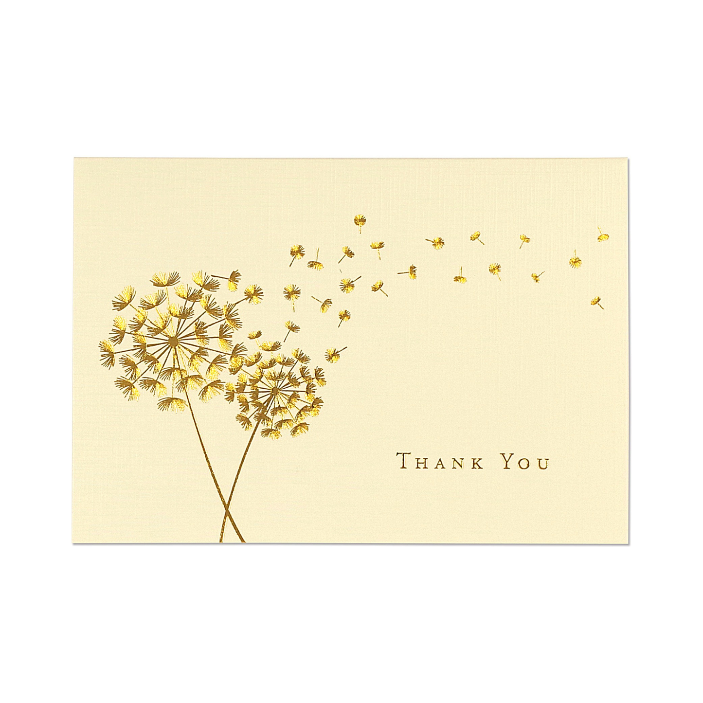 Boxed Thank You Greeting Cards