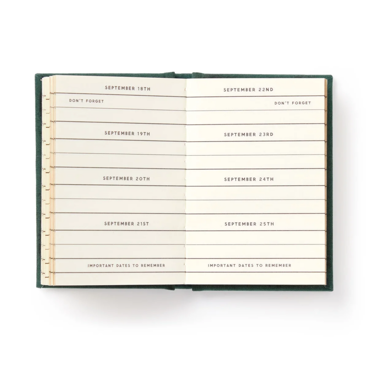 Tiny Diaries