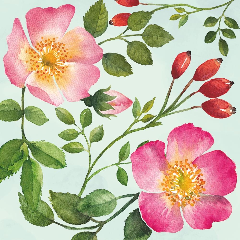 Summer Paper Napkins
