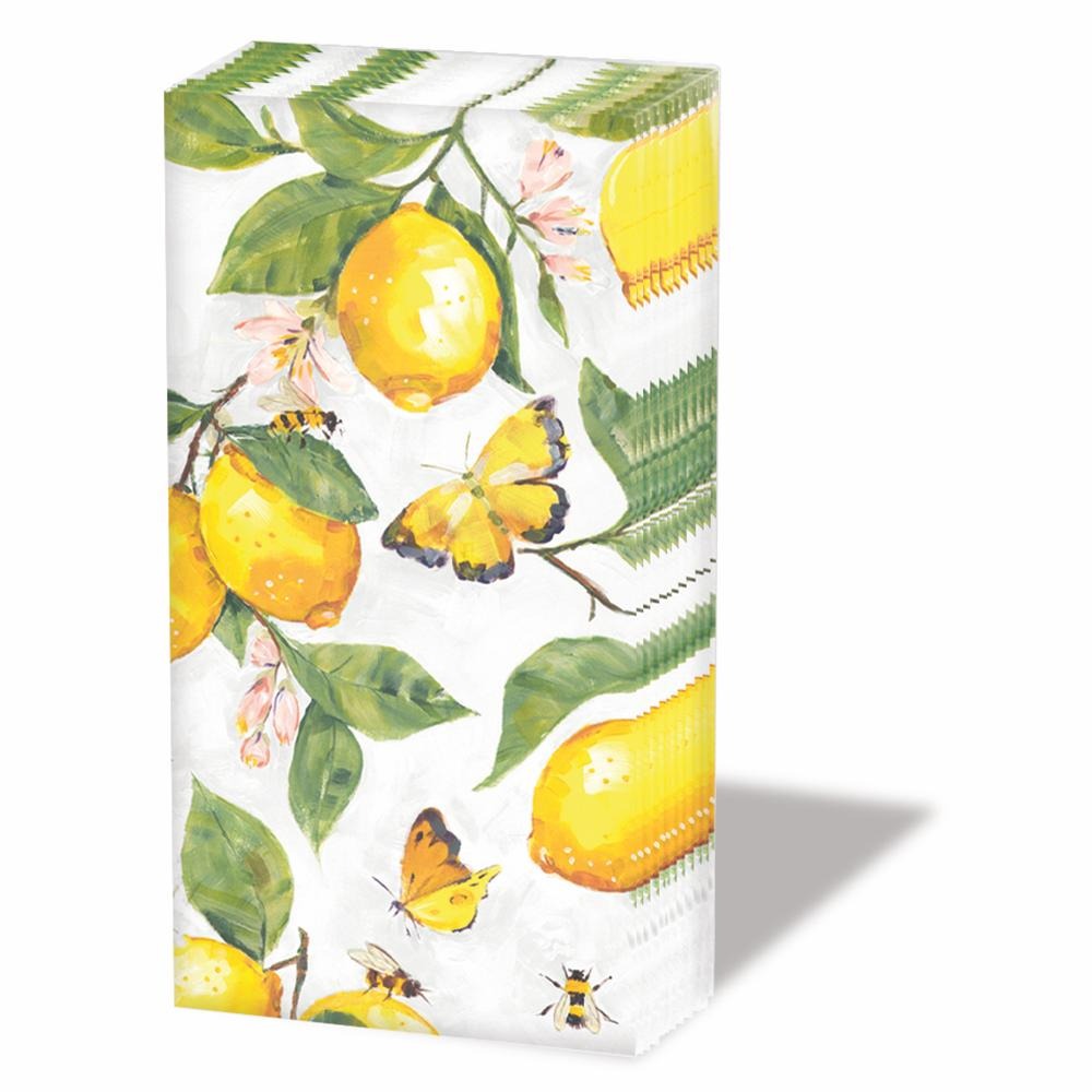 Pocket Tissues