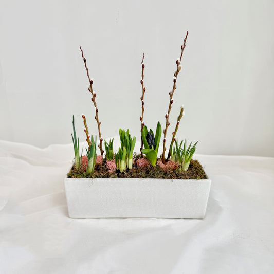 Long Spring Bulb Planter