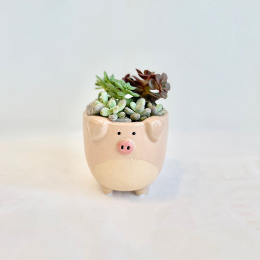Peppa's Planter