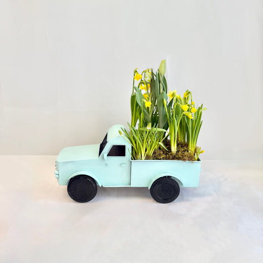 Spring Garden Delivery