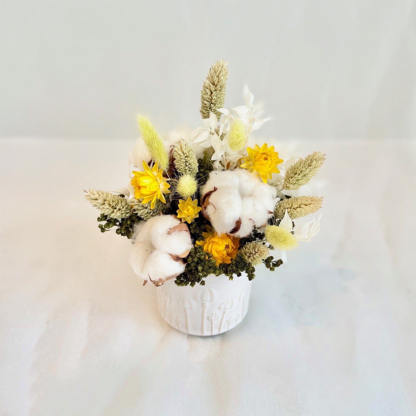 Mini Dried - Prairie Meadow
