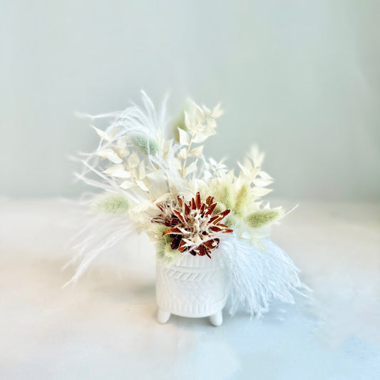 Mini Dried - Featherlight