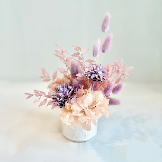 Mini Dried - Blush Bloom