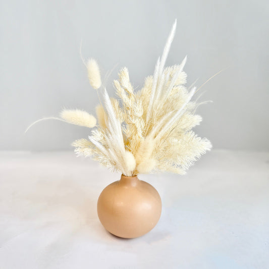 Mini Dried - Desert Cream