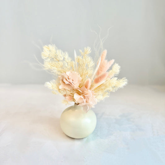Mini Dried - Pink Cloud