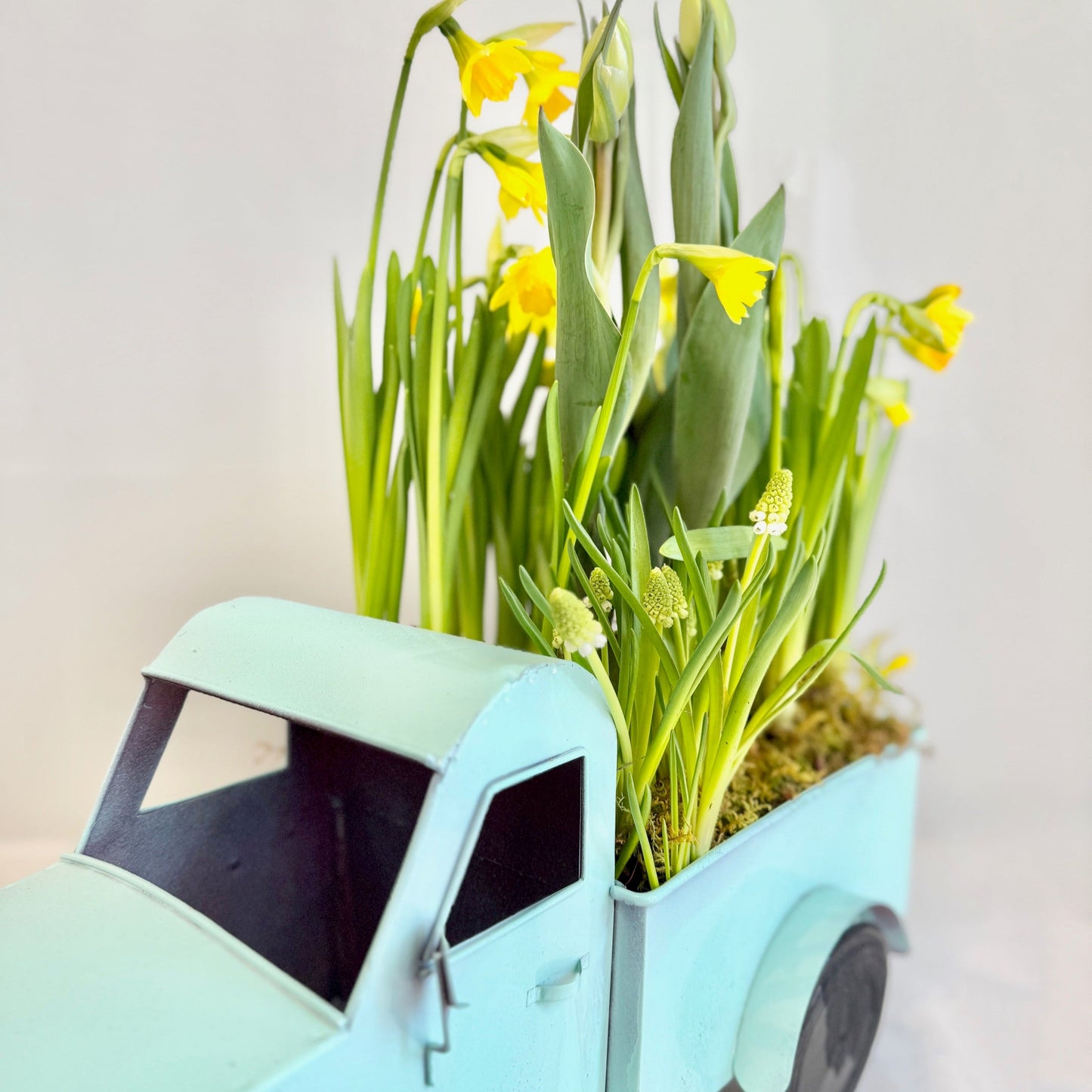 Spring Garden Delivery