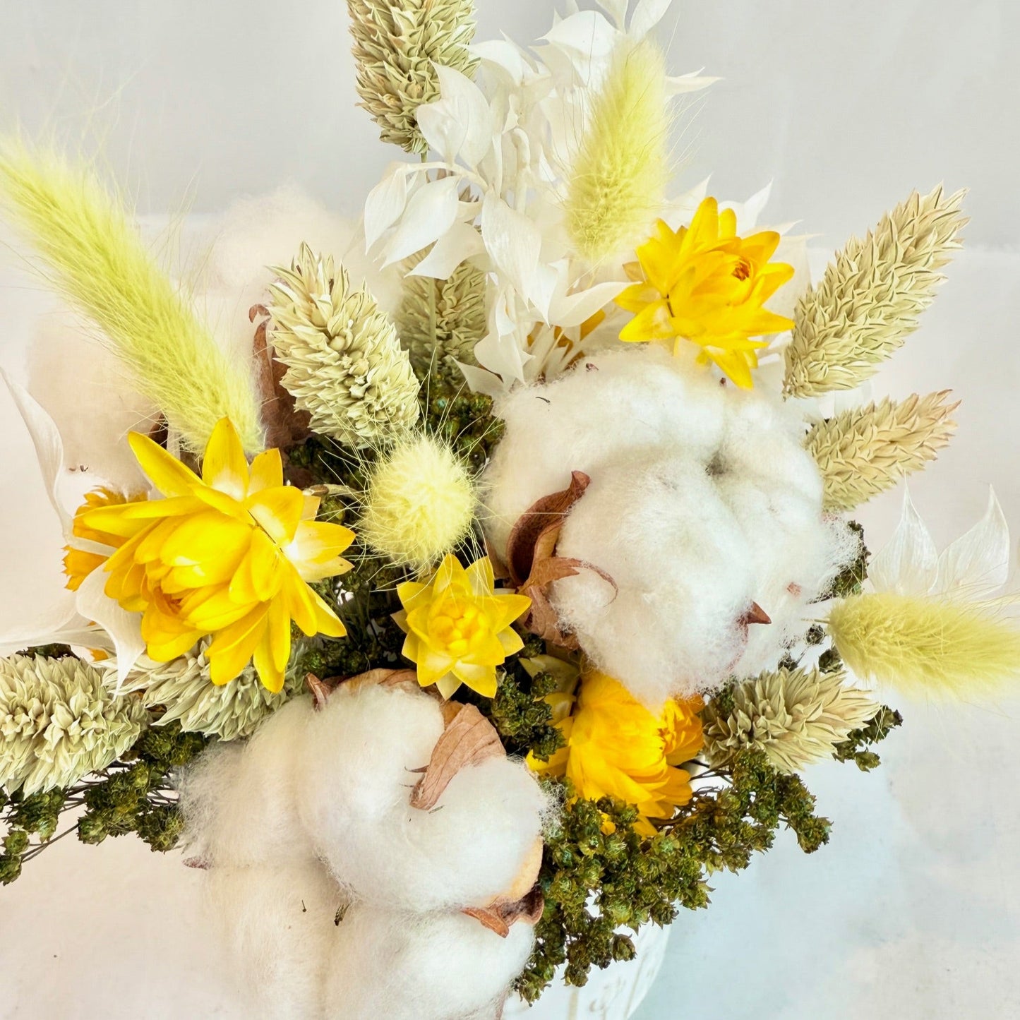 Mini Dried - Prairie Meadow