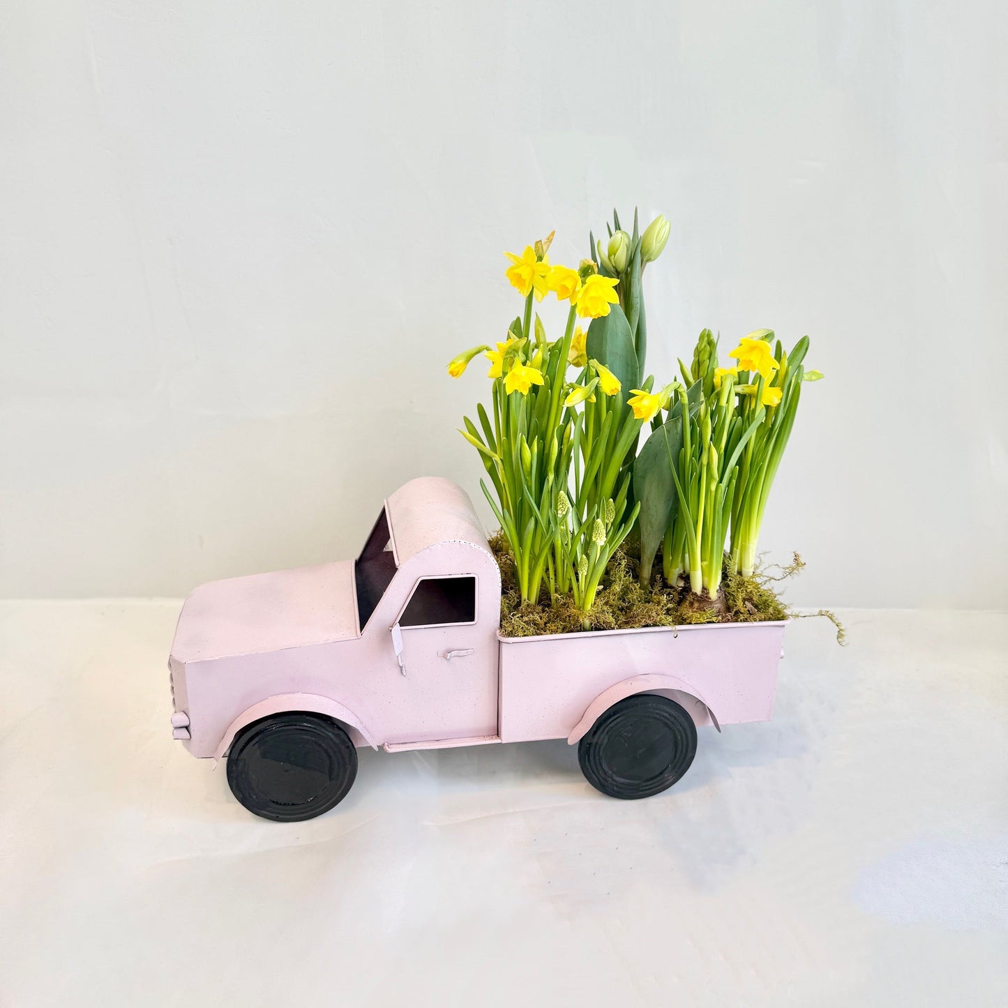 Spring Garden Delivery