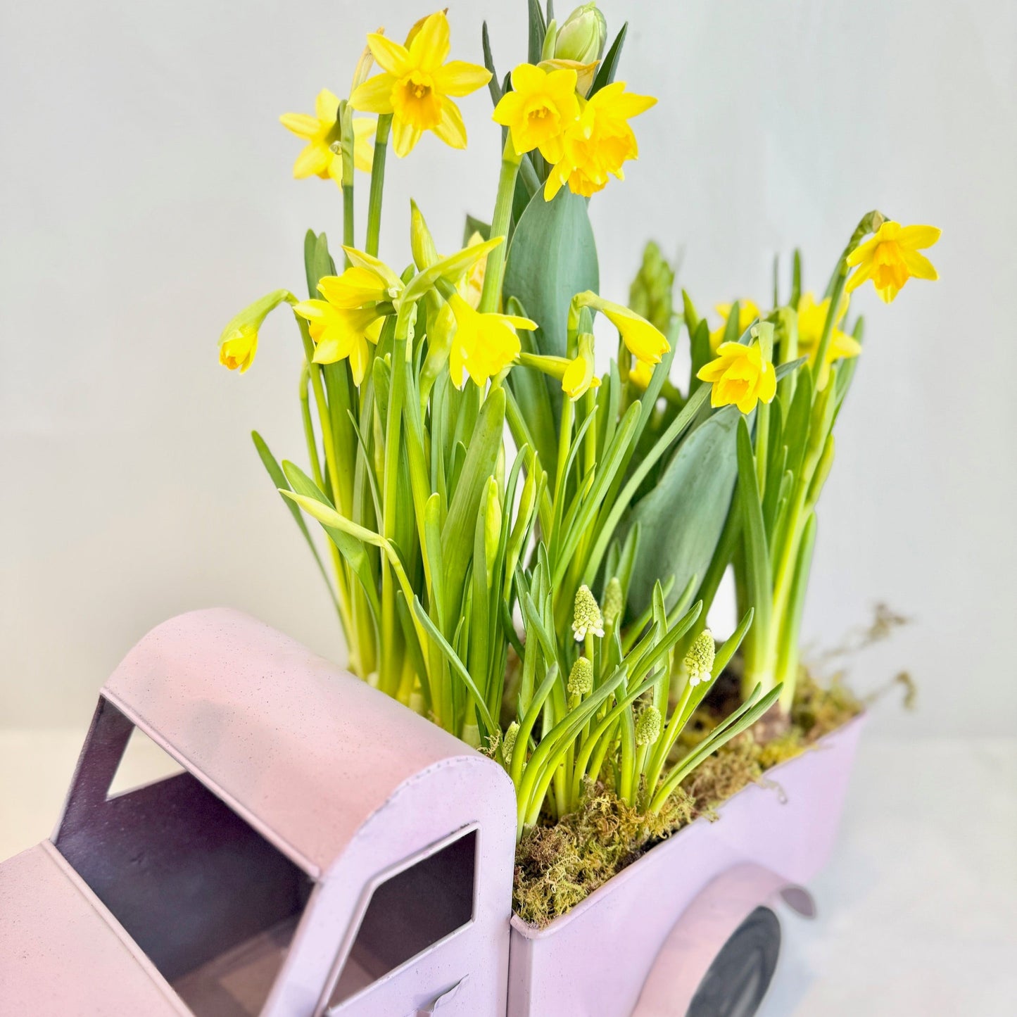 Spring Garden Delivery
