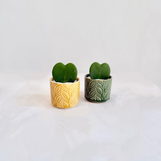Embossed Leaves Pot Hoya