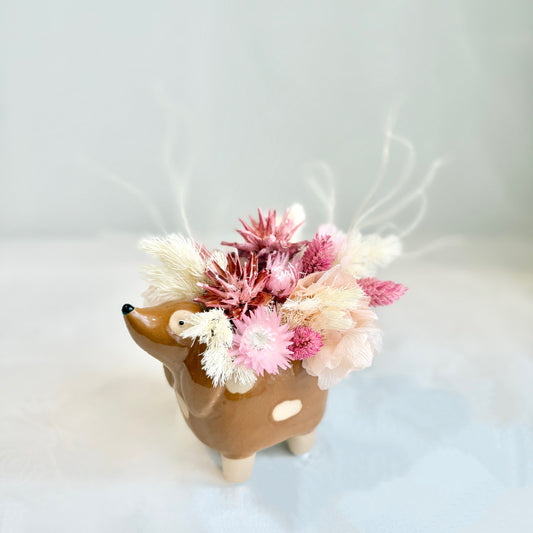 Mini Dried - Rosy Pup