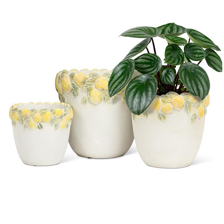 Lemon Edge Planter