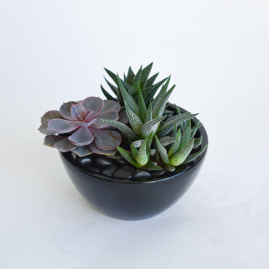 Mini Succulent Planter