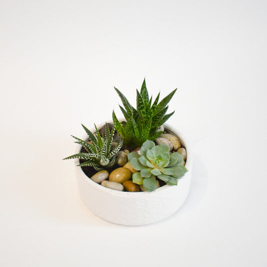 Mini Succulent Planter