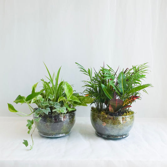 Mixed Planter