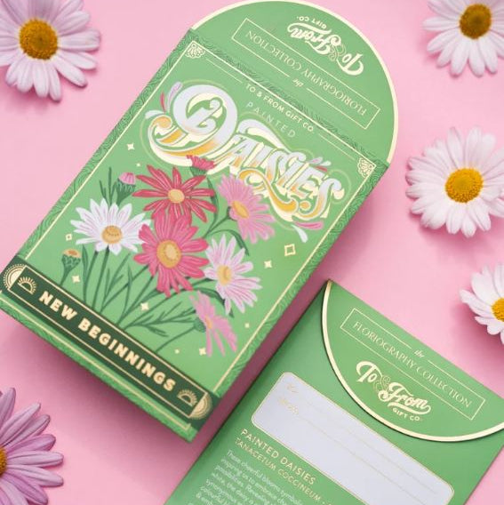 Painted Daisies - Seed Packet