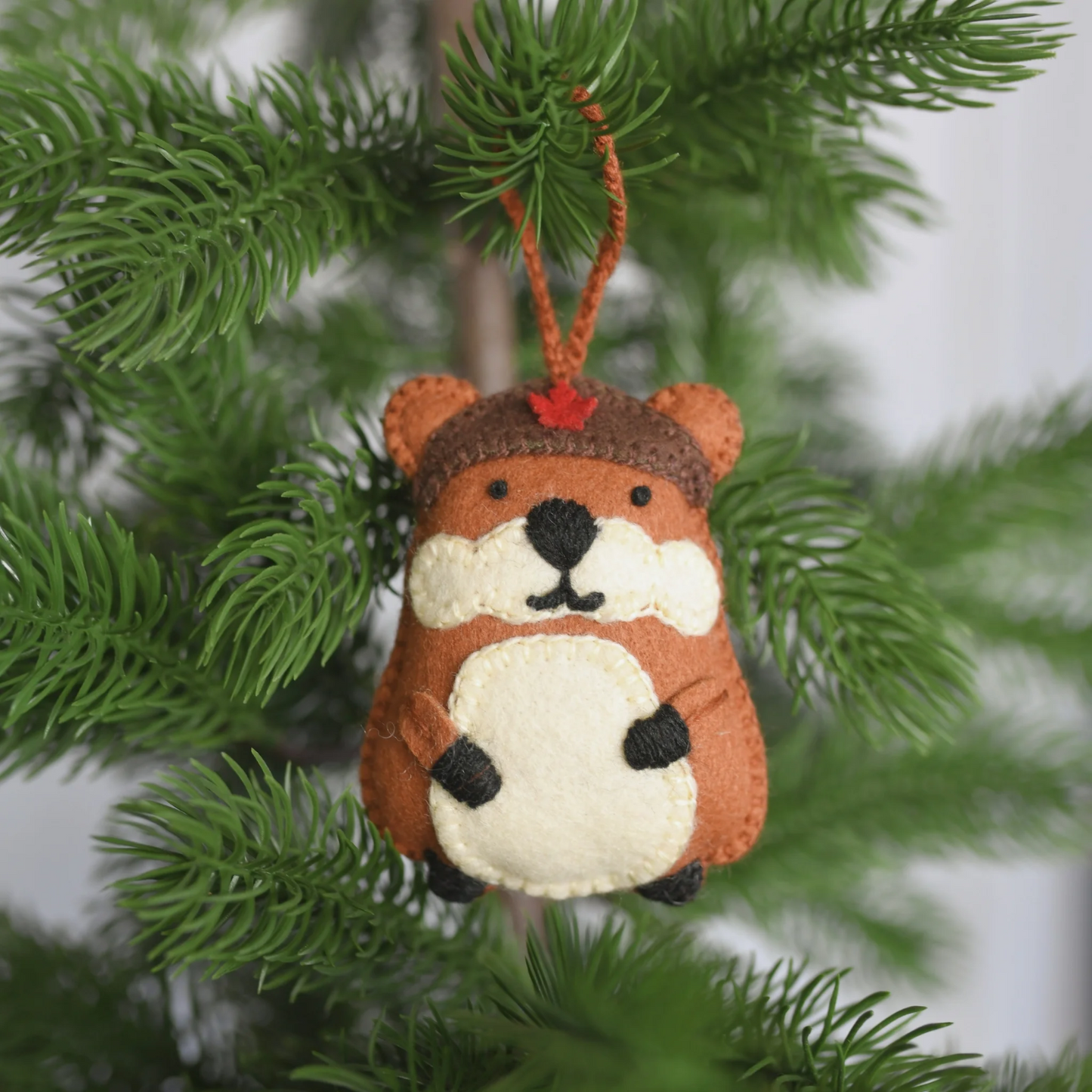Hand-Embroidered Felt Ornaments