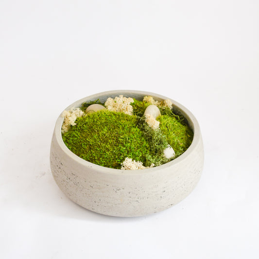 Preserved Moss Bowl