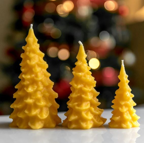 Beeswax Works Pine Tree Candles