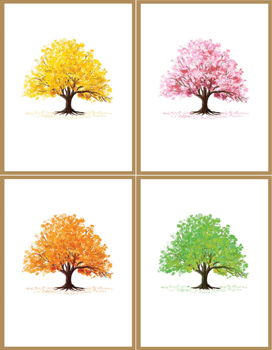 Premium Blank Boxed Card Set
