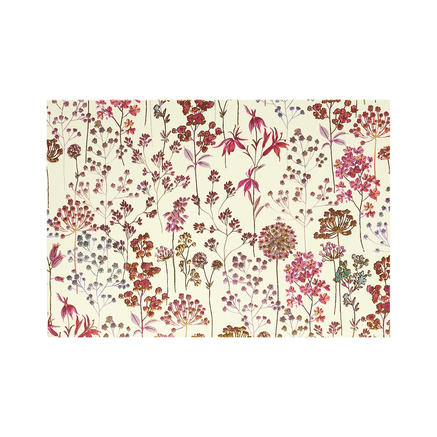 Boxed Blank Note Cards