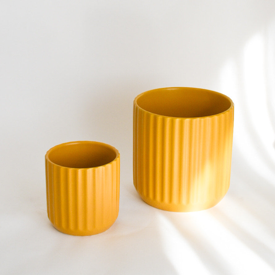 Yellow Ribbed Pots