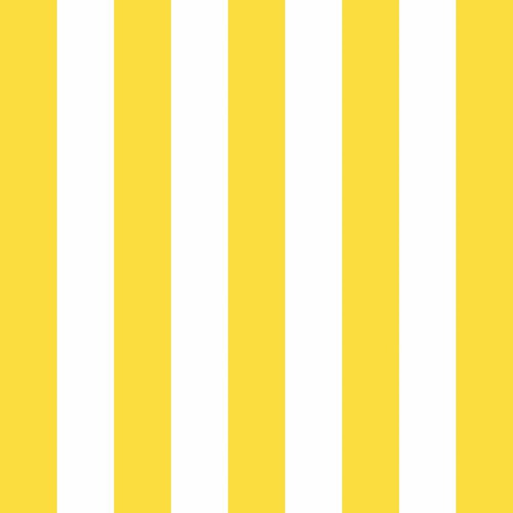 Summer Paper Napkins