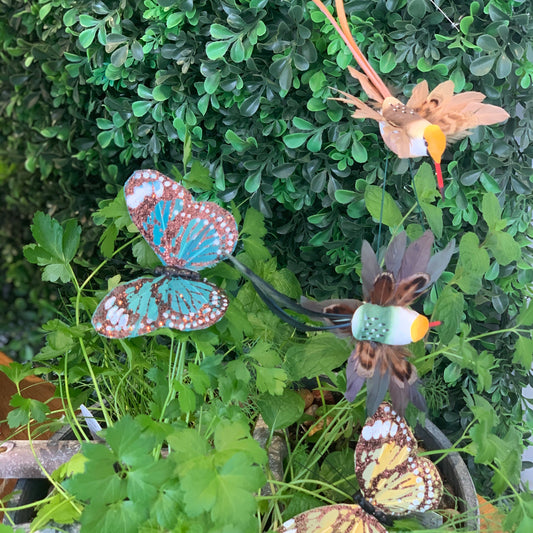 Butterfly Decor Clips
