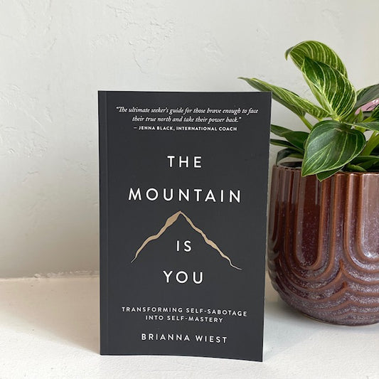 The Mountain Is You - Brianna Wiest