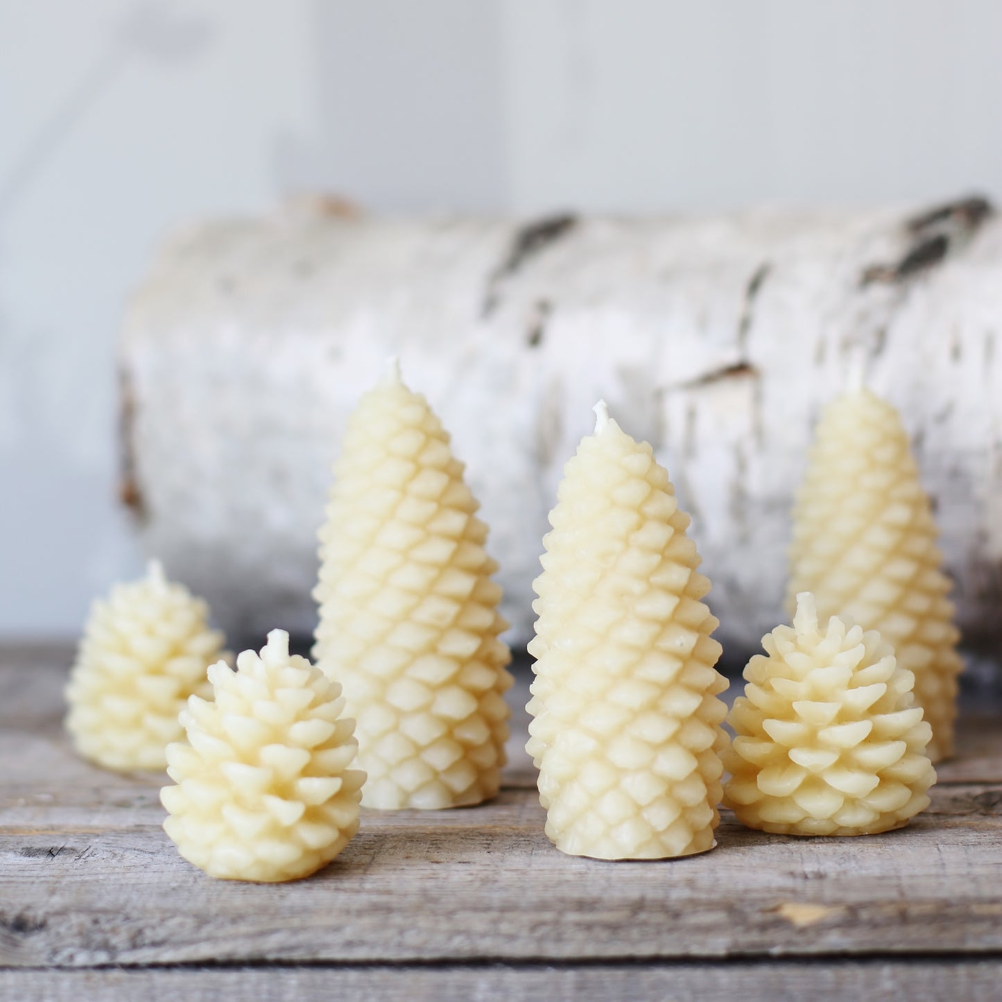 Beeswax Works Pine Cone Candles