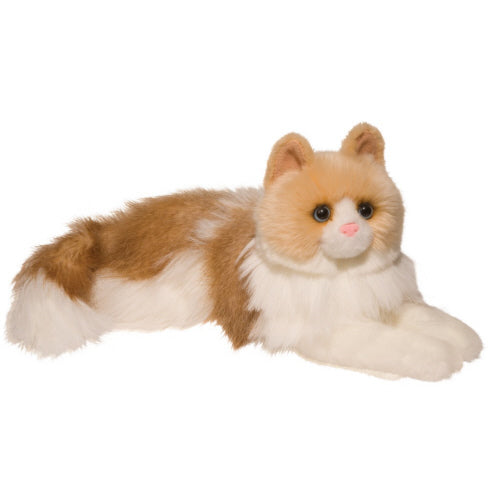 Kiki the Ragdoll Cat